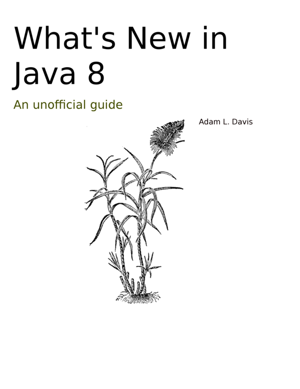 java latest version